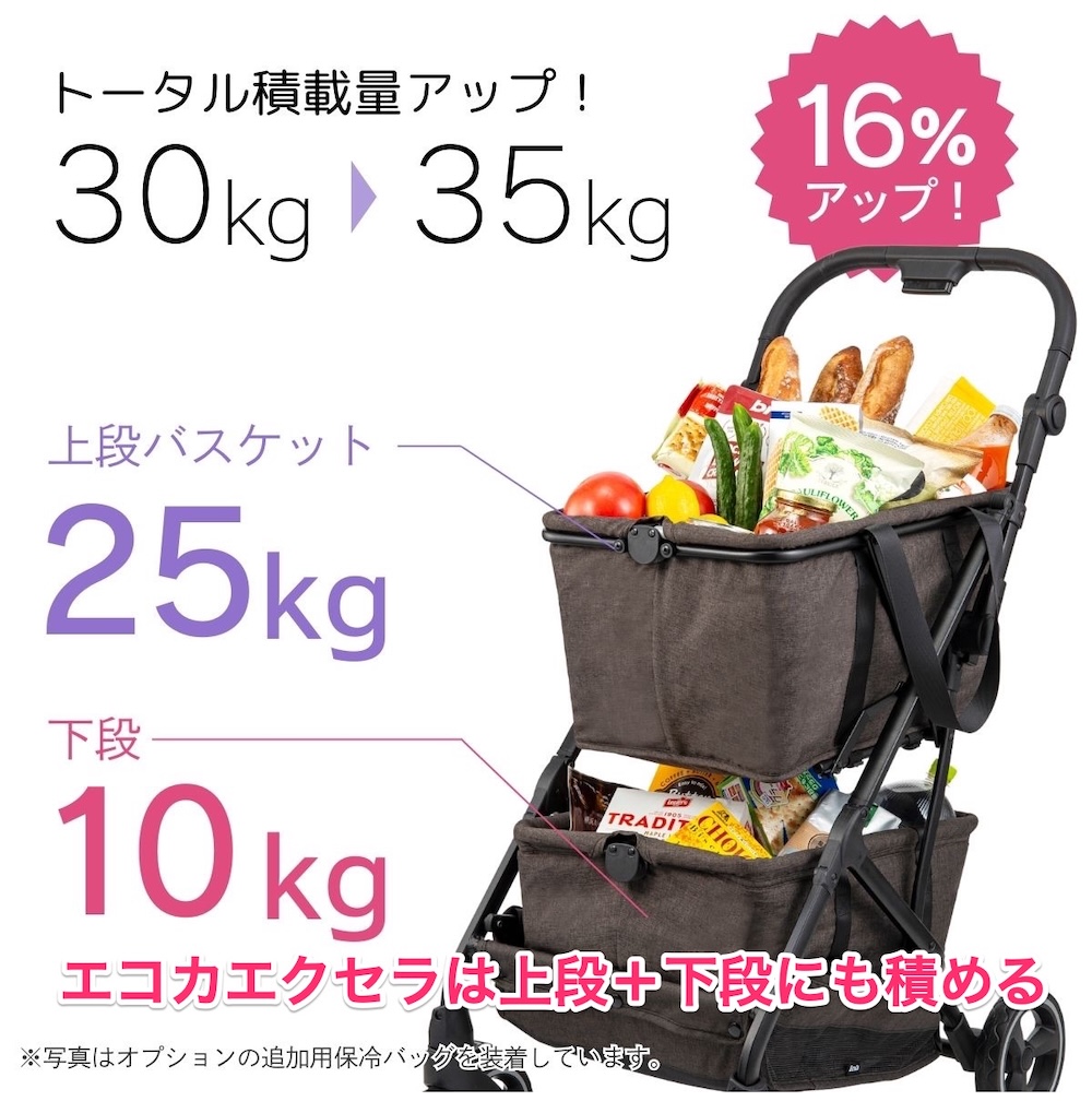 エコカエクセラ