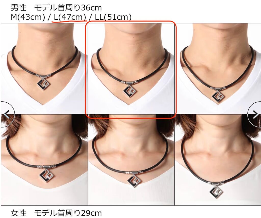 コラントッテのサイズ感